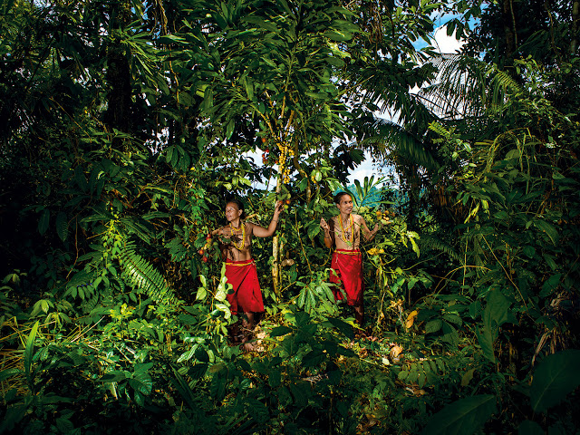 Jungles Olivia Lavergne éditions Light Motiv Mentawai Indonésie