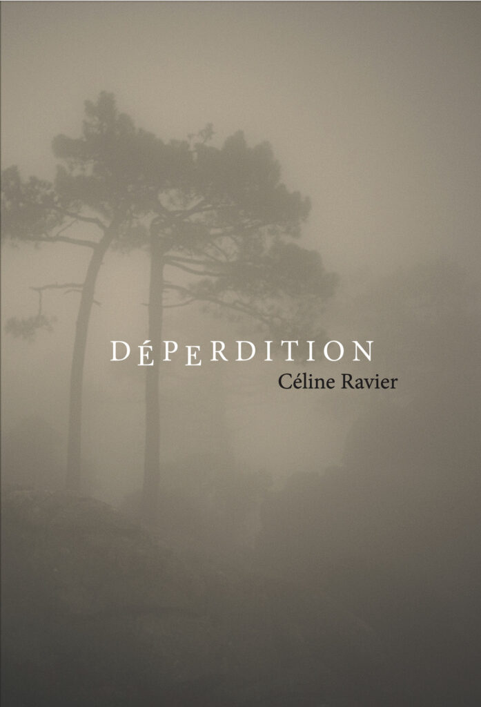 Céline Ravier, déperdition, Montagne, brume, perte, éditions Images plurielles, ailleurs, se perdre, se retrouver, retrouver, mourir, renaître, Frédéric Martin, 5ruedu.fr, chroniques de livres photos, 