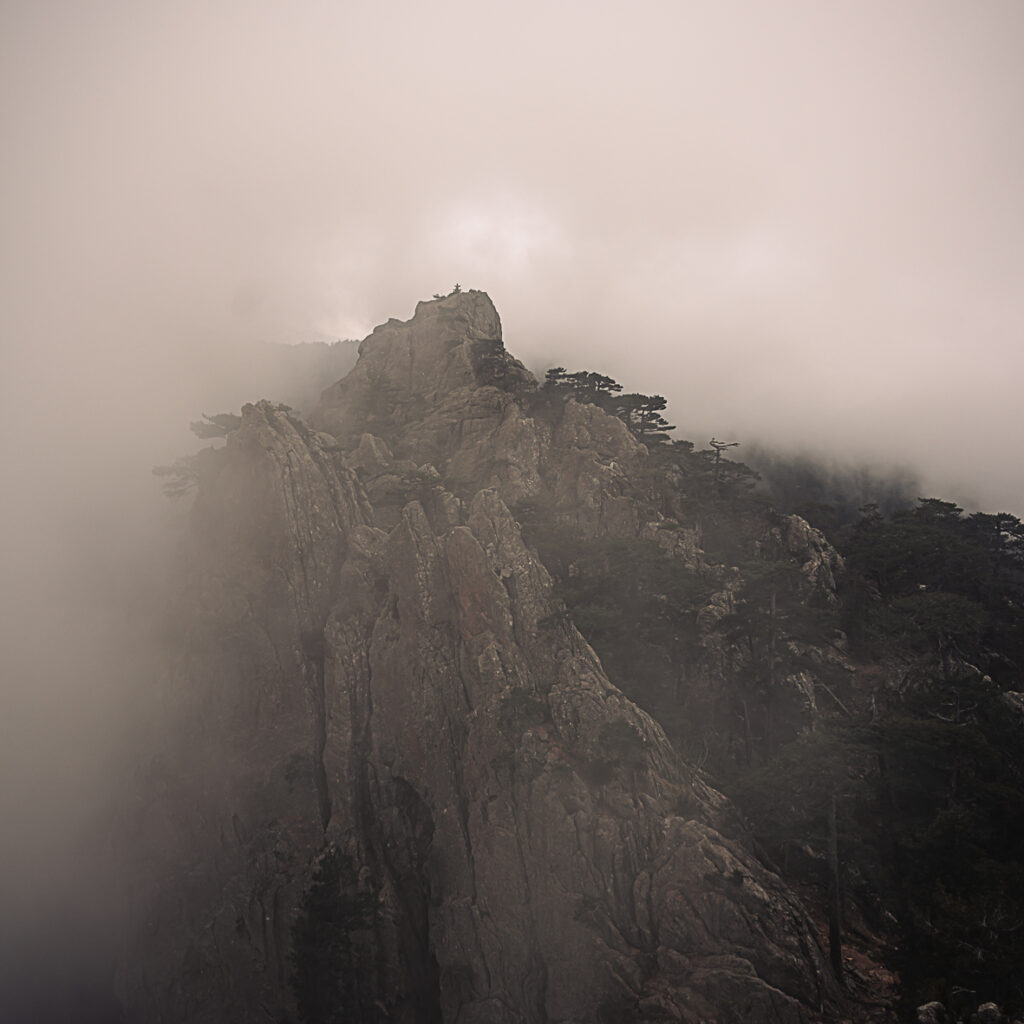 Céline Ravier, déperdition, Montagne, brume, perte, éditions Images plurielles, ailleurs, se perdre, se retrouver, retrouver, mourir, renaître, Frédéric Martin, 5ruedu.fr, chroniques de livres photos, 