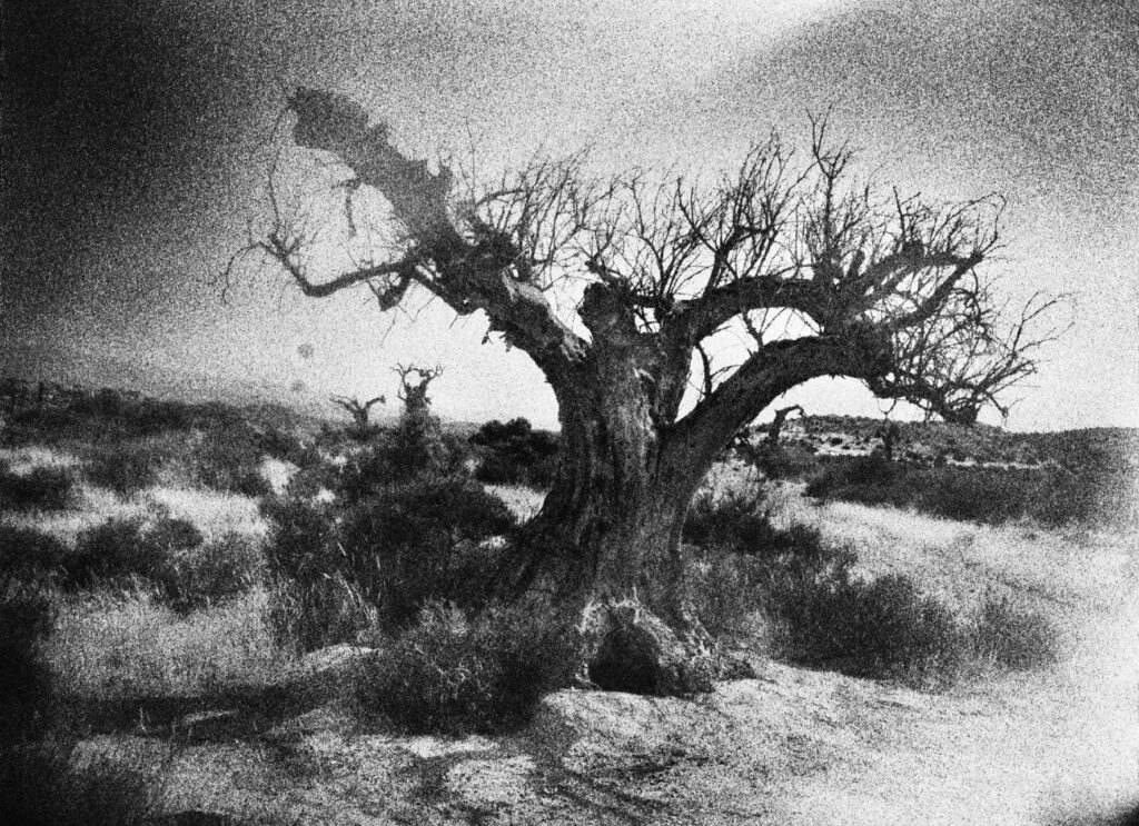 Gilles Roudière, Soledades, éditions lamaindonne, Espagne, désert, silence, solitude, voyage, détours, passage, vent, lumière, ombre, chronique, livres photos, Frédéric Martin, 5ruedu,